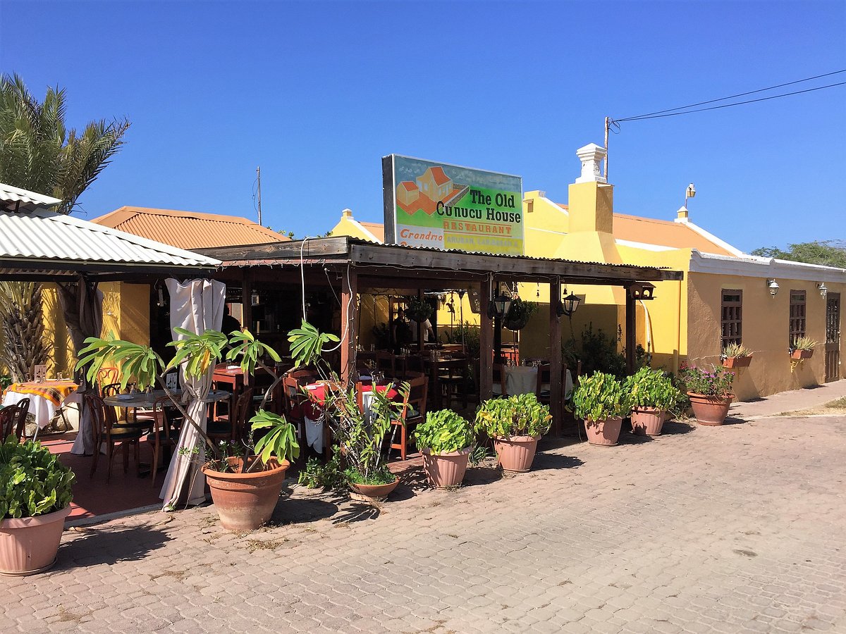 The Old Cunucu House