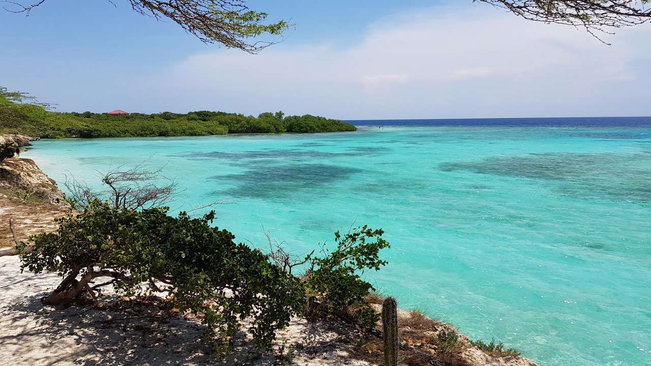 Top 10 Local Attractions in Savaneta, Aruba